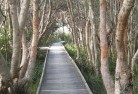 St Kilda SAnative-gardens-3.jpg; ?>